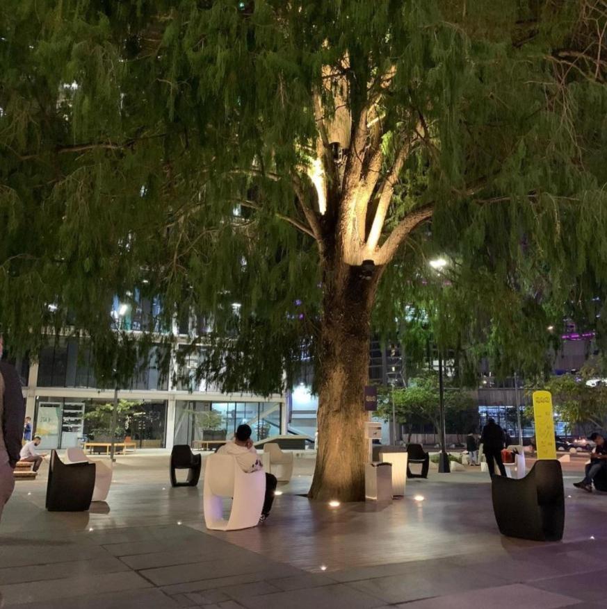 Citadin Hotel Γουατεμάλα Εξωτερικό φωτογραφία